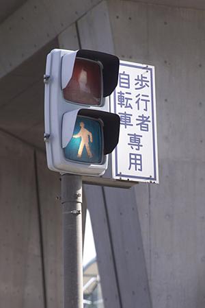 【最新版】トラック高価買取の秘訣と成功事例｜高額査定を実現するための完全ガイド