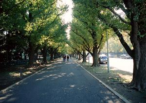 リースから購入まで全て任せられる