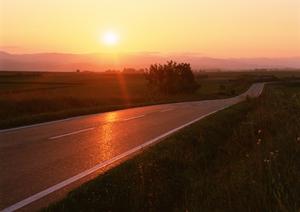 刈谷周辺で自動車の美観の整備なら