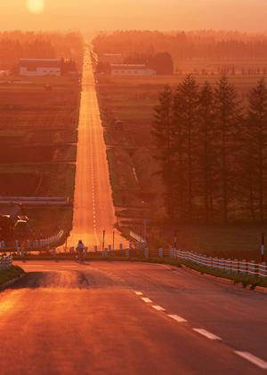 免許取得の合宿は関西でお得に！合宿免許の魅力とプラン詳細を解説します