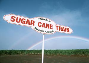 早く車検を済ませたい方におすすめです