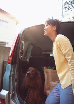 最新!2026年版車検見積もり完全ガイドとお得に受ける方法